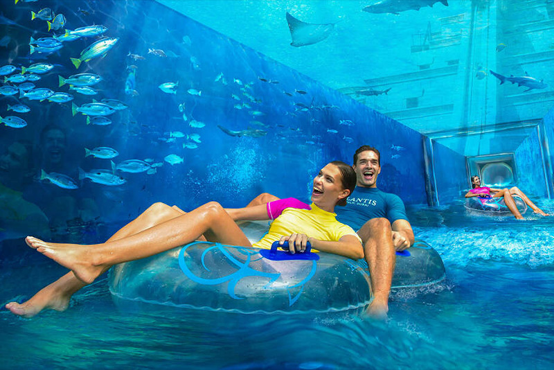 Dubai Aquarium & Under Water Zoo (SIC)