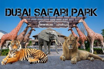 Dubai Safari Park Tour with Transfers (SIC)