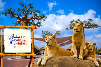 Dubai Safari Park - Entry Ticket